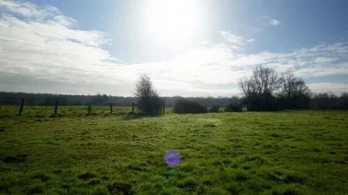 香蕉漫画田园自然风光高清视频素材